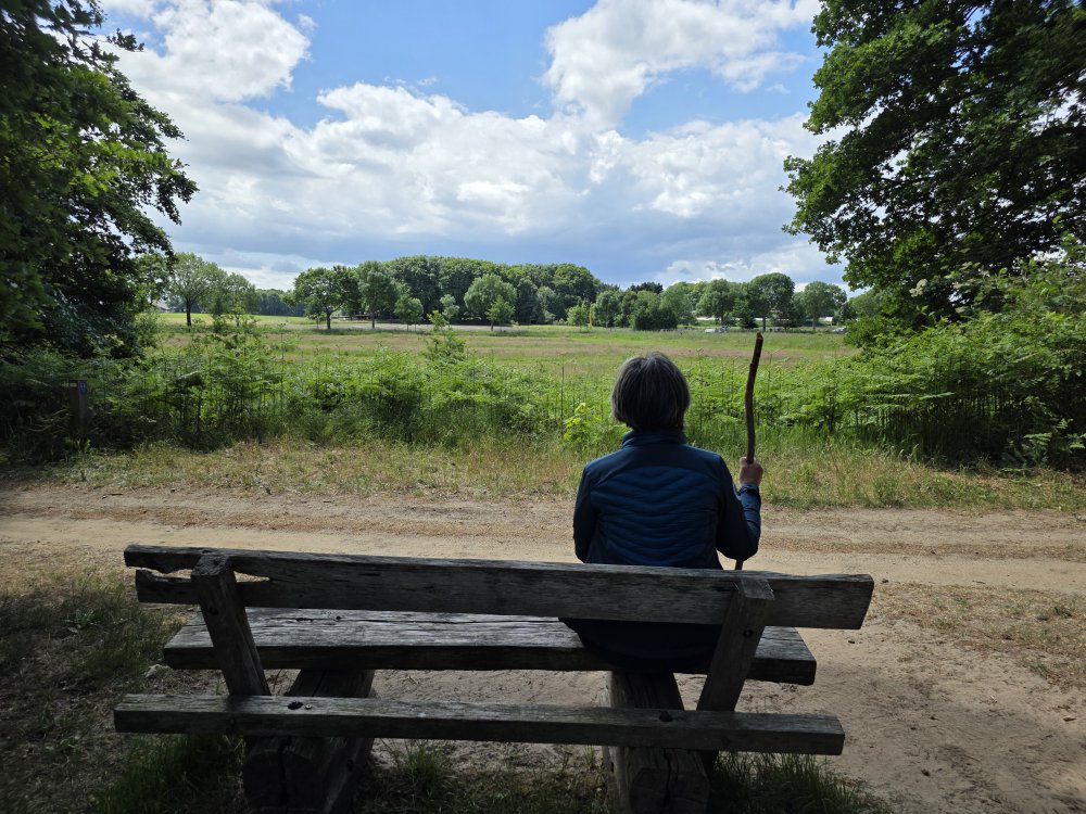 Foto Wandeling: Lentebloementocht Vlootbeekdal